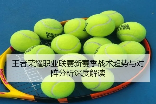 王者荣耀职业联赛新赛季战术趋势与对阵分析深度解读