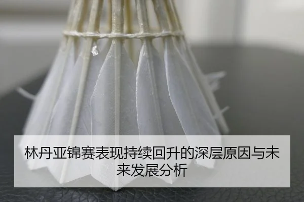 林丹亚锦赛表现持续回升的深层原因与未来发展分析
